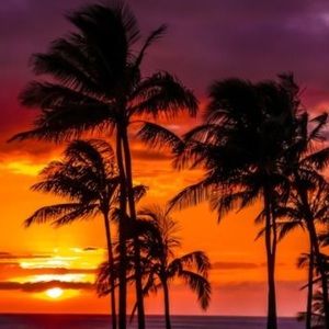 Meet your Posher, Abbie